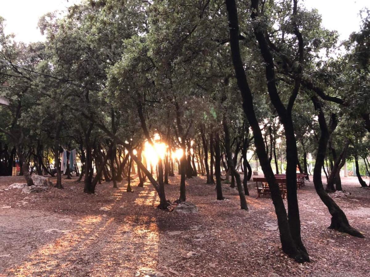 Villa Ariel 卢什蒂卡 外观 照片